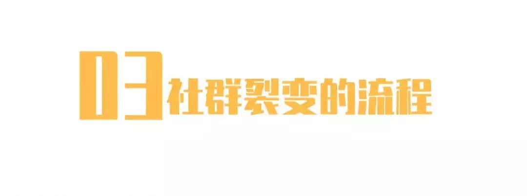 零基础如何入行社群运营,入职社群运营要注意什么
