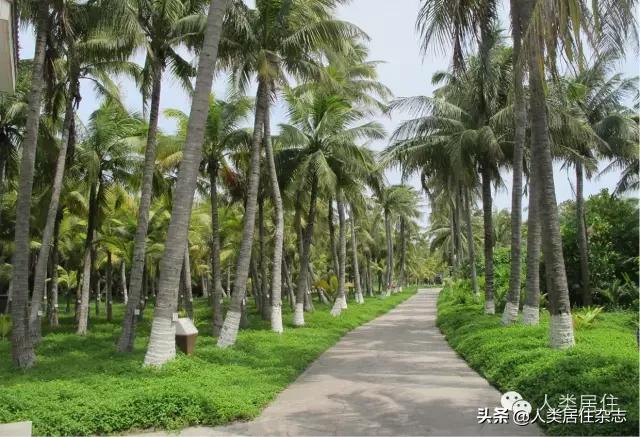 三沙市神奇城市,三沙市海上城市