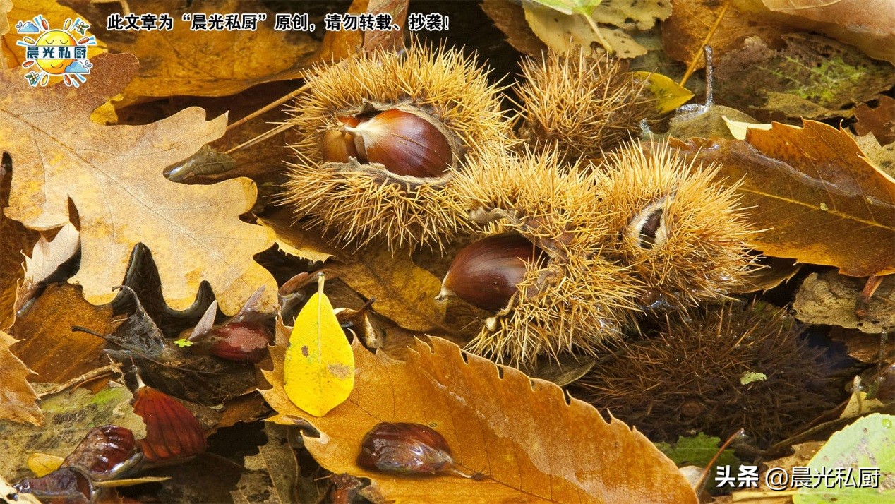 不开口糖炒板栗的视频教程,糖炒板栗怎么让它软糯