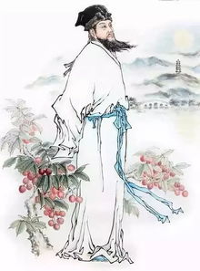 在你的眼里诗歌到底是什么,苏轼留给你印象最深的是什么