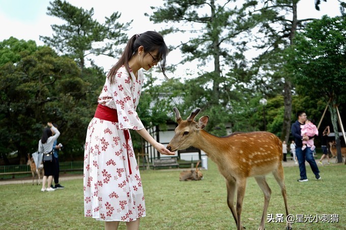 「连载」8天自由行，在东京与关西体验别样岛国风情-大阪（完结）