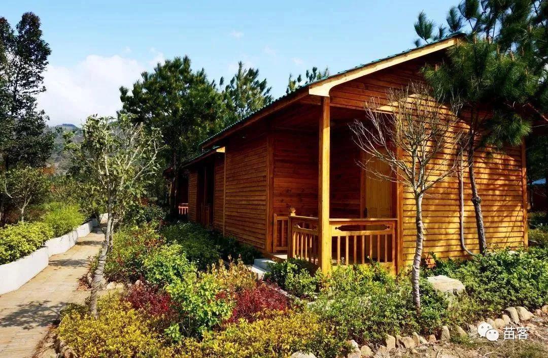 微时光田东,微时光美好生活