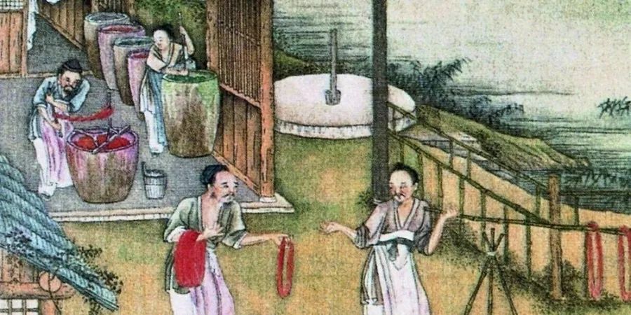 大自然美妙无比又生机勃勃的植物,植物染色的东西