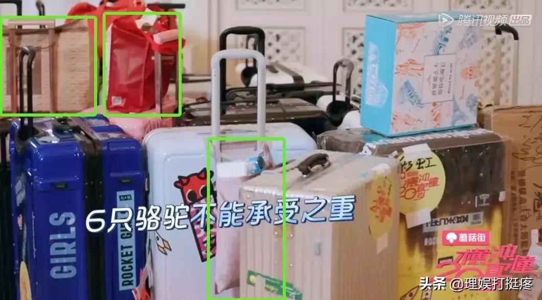 男女明星旅行差异大起底！不看不知道原来我们不一样