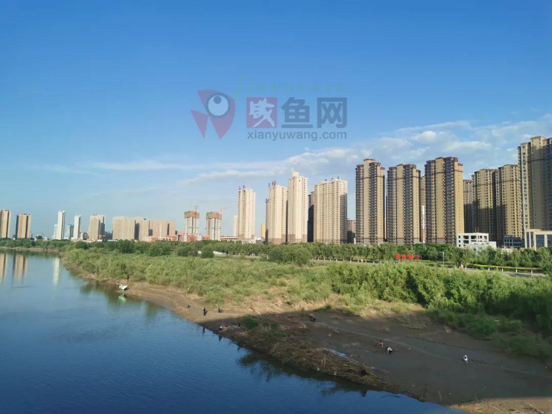 渭河南岸最新消息,渭河南岸沿线最新消息