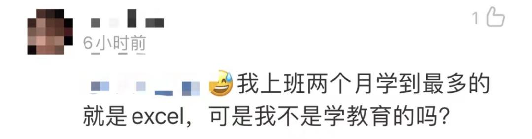 “我堂堂宾大毕业高材生，回国后竟然天天做Excel表”