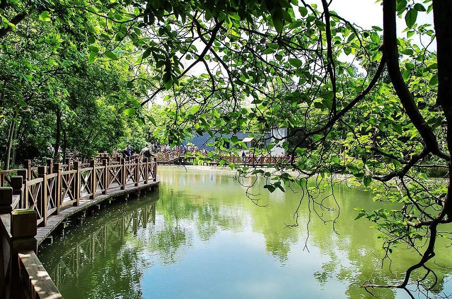 免费半价怎么点,免费半价的噱头