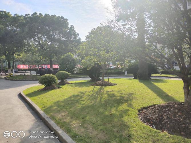 vivoz5x全面详细评测,美得不像千元机vivoz5x精美体验