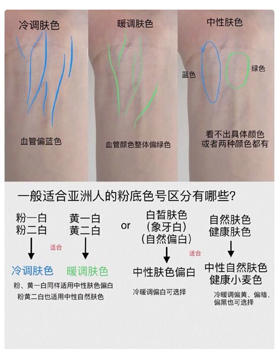 粉底常识,粉底种类