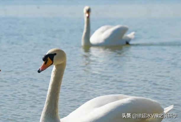 不出郑州旅游攻略,郑州五一游玩公园推荐