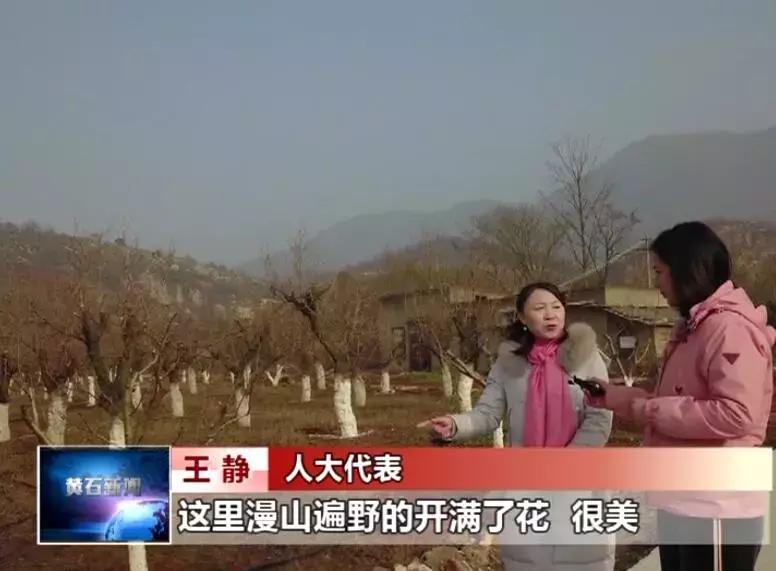 黄石薪资水平,黄石真实工资