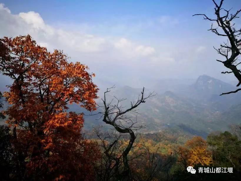 坐上公交去旅行!跟着这条101路线,带你玩遍大半个都江堰~一站一景,吃喝玩乐一网打尽!