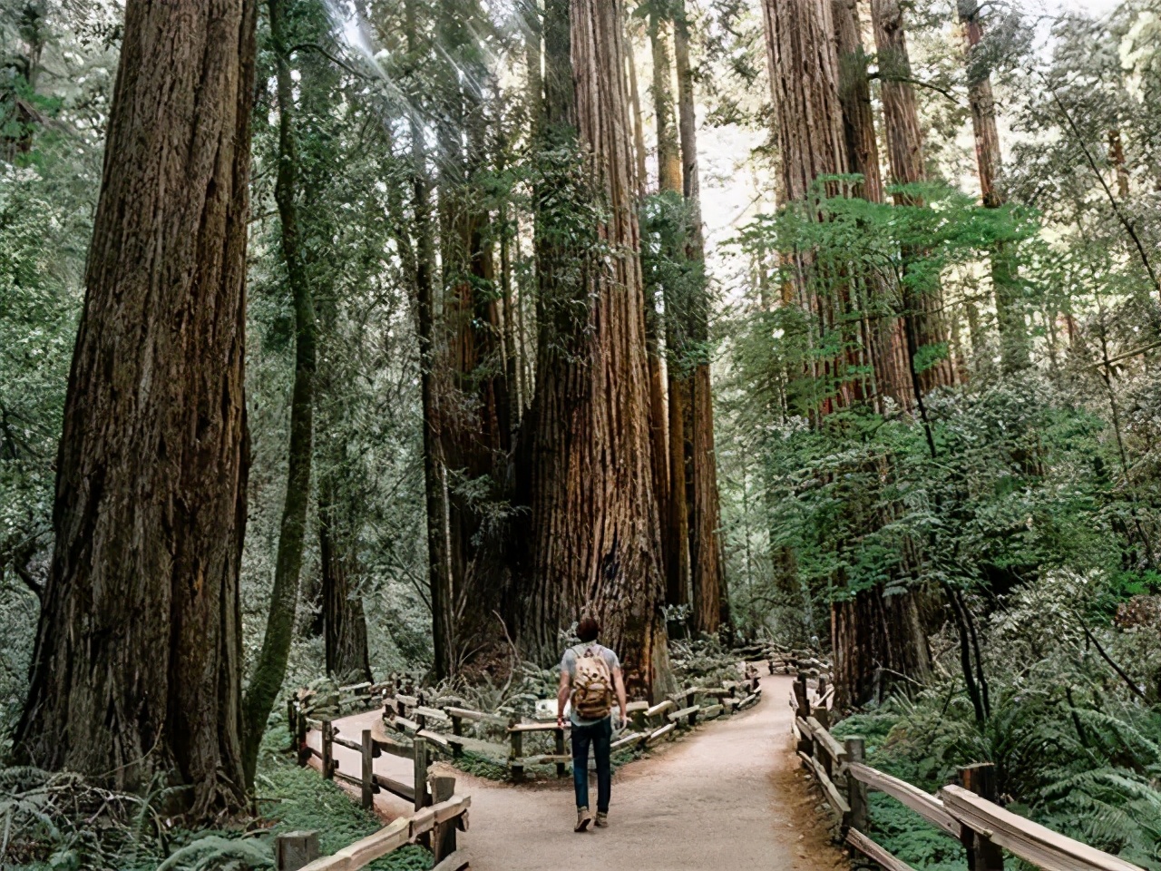 品味人生家居服,品味人生家具图片