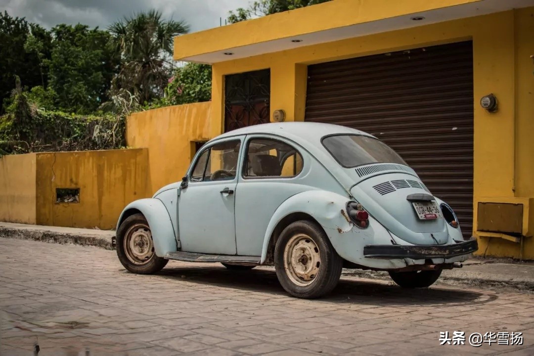 在这里你可以看到绚烂多彩的甲壳虫,因为他们是这里的精灵