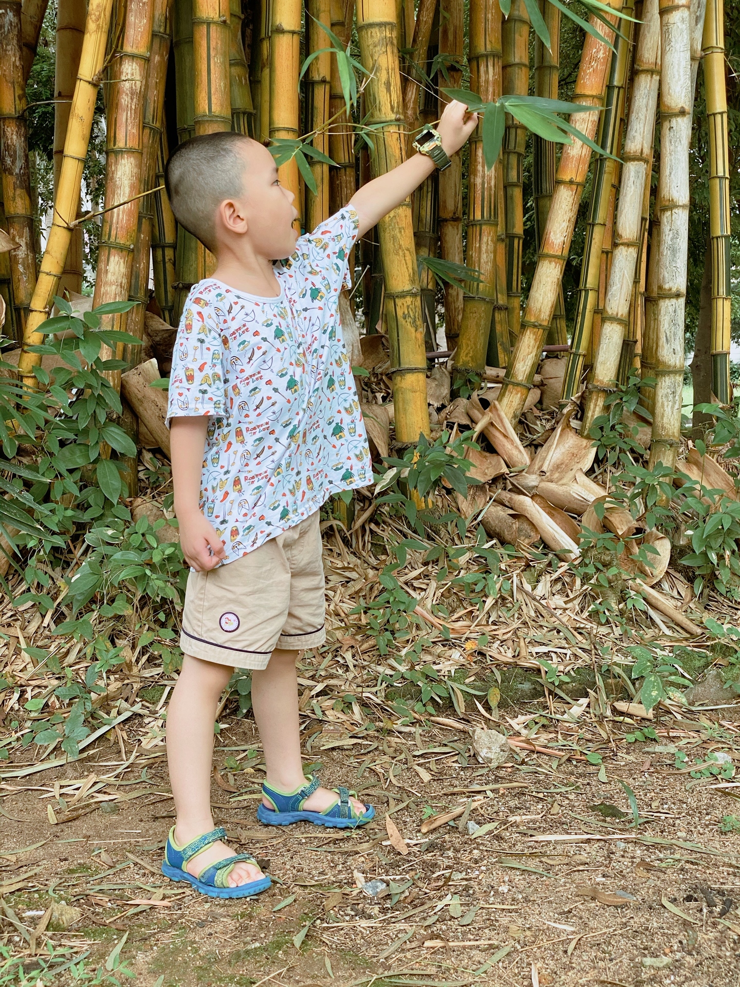 3608xs和小天才q1r手表哪个好,儿童手表360好还是小天才好