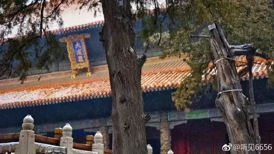 等一场雪，邂逅最美山“冬”｜冬游齐鲁