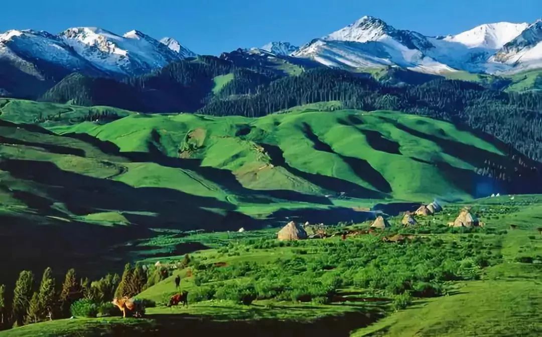 新疆摄影环线游之独库公路,独库游记