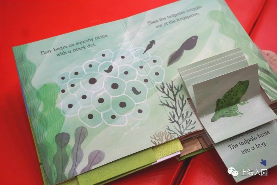 好消息上海,上海浦东托育培训班