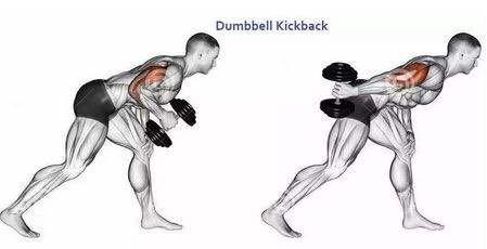 一对哑铃练全身成就完美身材,在家练哑铃多久可以练出好身材