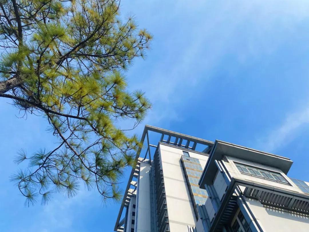 江苏省33所高校排名,江苏省300分大专院校