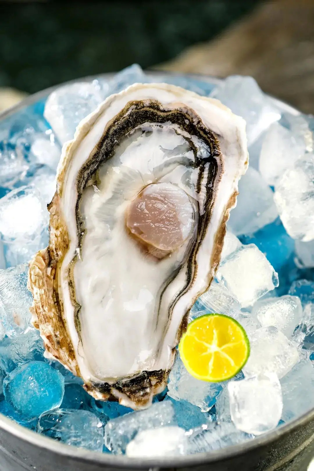 汇聚“世界名流”，绽放本土异彩！FHC自信而来