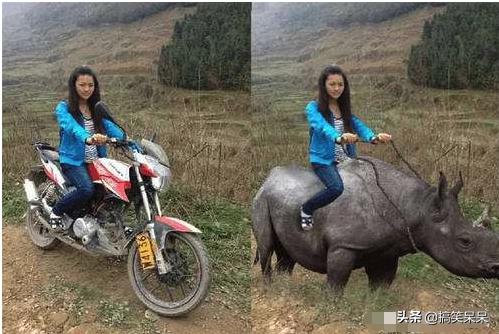 p图大神搞笑作品,p图大神的恶搞看完让人捧腹大笑