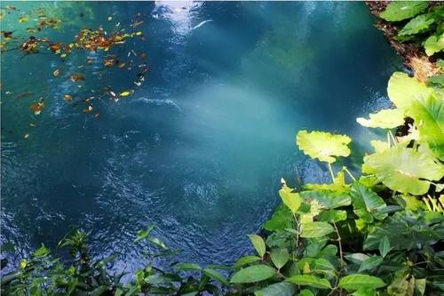 储劲松作品,岳西籍作家储劲松