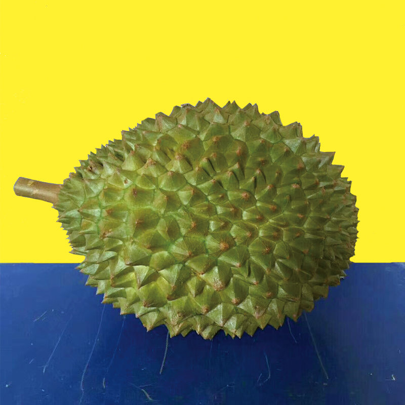 榴莲品种d13,泰国榴莲d197是什么品种