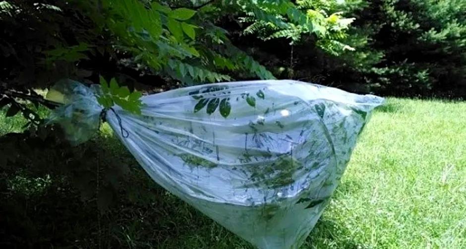 野外生存如何取水,野外生存取水怎么过滤瓶子