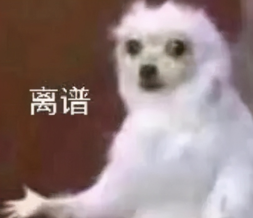 哈哈哈哈好久没看到这么烂的剧了