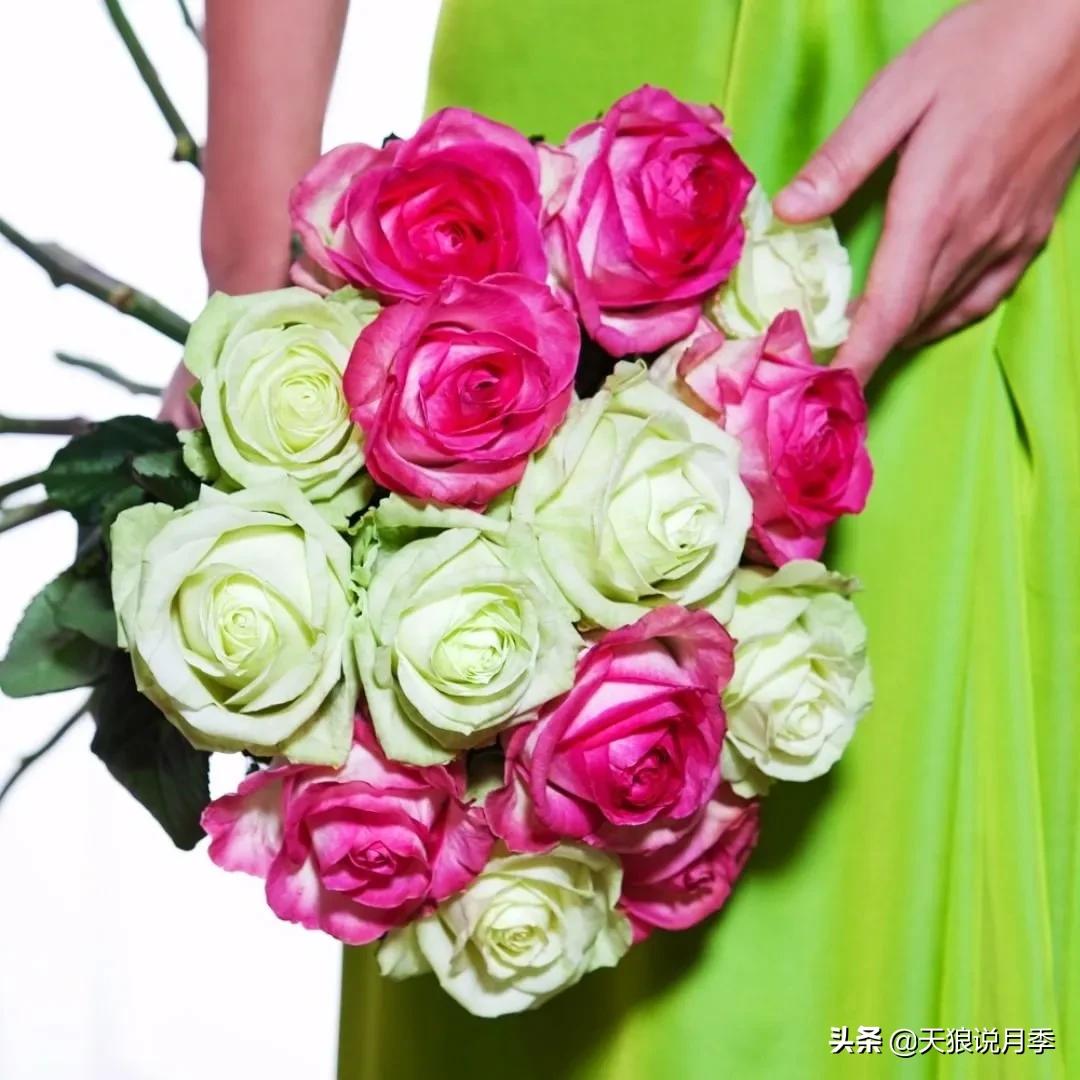 520你最想收到什么玫瑰,520这样的玫瑰你们喜欢吗