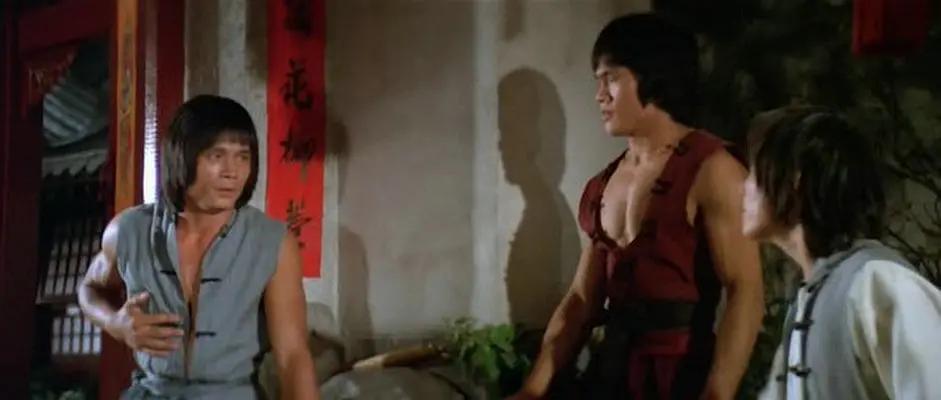 龙形十八翻邵氏经典武侠电影,邵氏武侠经典电影七十二煞星