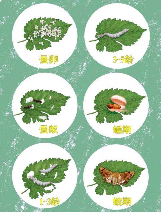 铏叮鍘熸枃,铏叮浣滃搧