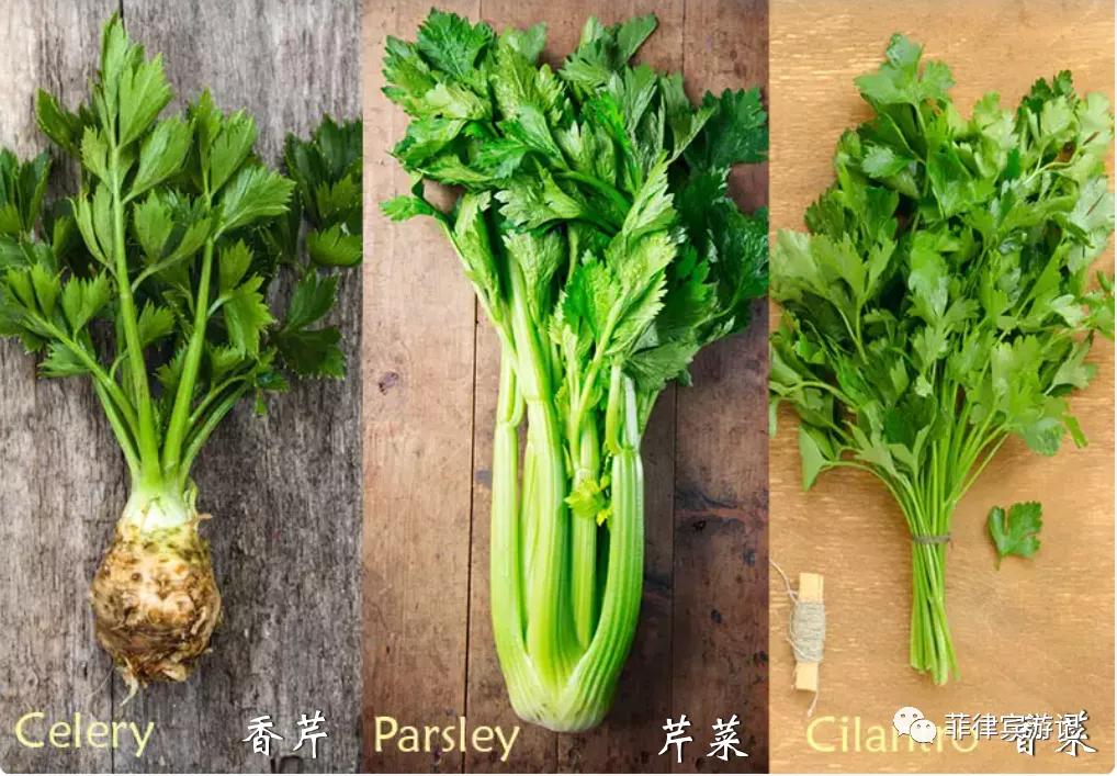 菲律宾青菜价格表,菲律宾蔬菜为什么那么贵