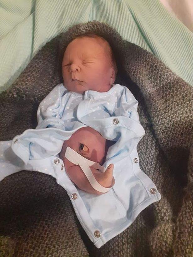 人鱼宝宝的降生,人鱼宝宝长大后图片