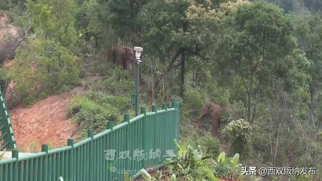 浜鸿薄鍜岃皭鍏卞,浜烘槸鎬庢牱涓庤嚜鐒跺拰璋愮浉澶勭殑浜嬩緥
