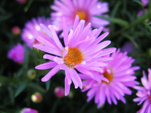 快手文案短句正能量的句子,文案霸气快手热门语录短句