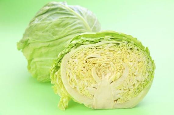 除了猫粮可以给猫吃什么,除了猫粮还有什么可以给猫加营养