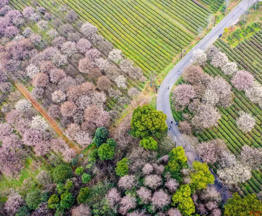 武汉免费一日游打卡,武汉旅游必去打卡十大景点