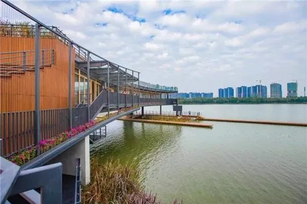 看龙舟提前感受端午的气息,端午玩龙舟可以这样玩