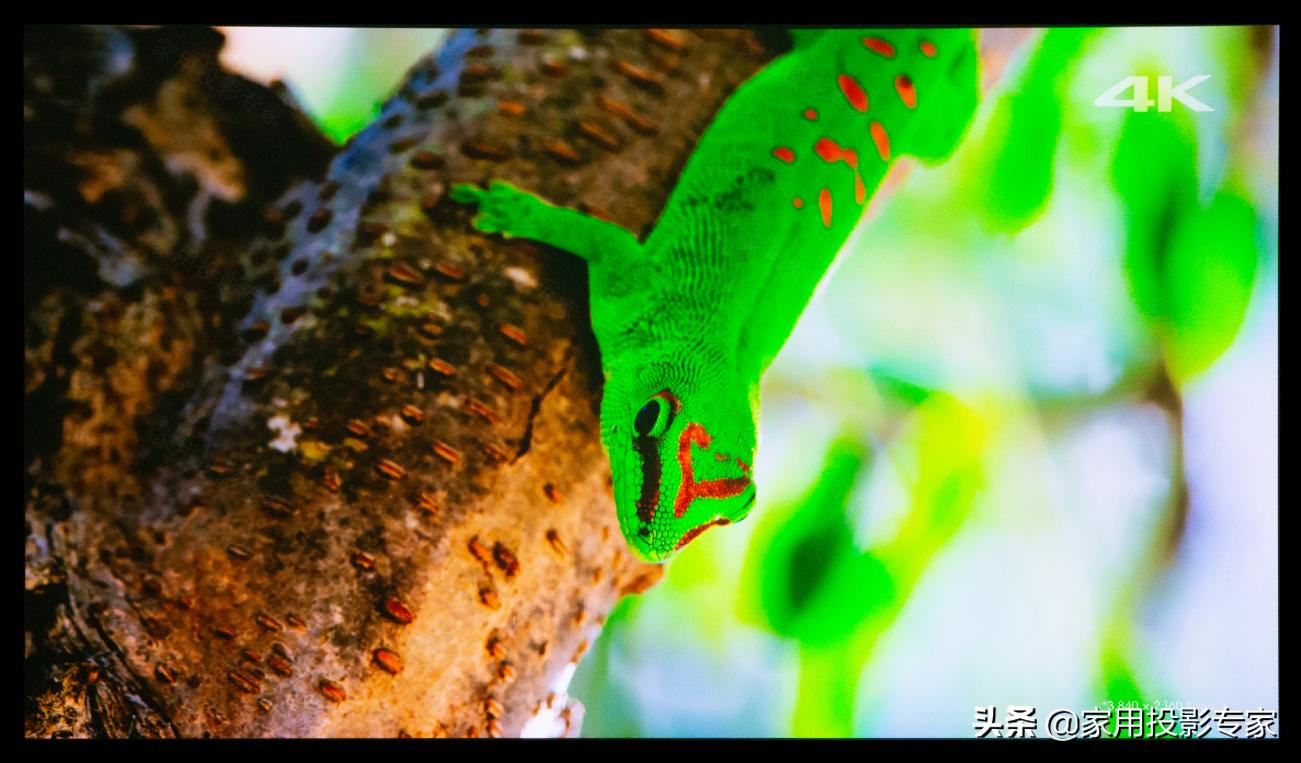 「评测」15万元4K家用激光投影机怎样？看索尼VPL-VW798