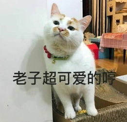 乌尤尼盐沼天空之镜夜景,乌尤尼盐湖天空之镜旅游价格