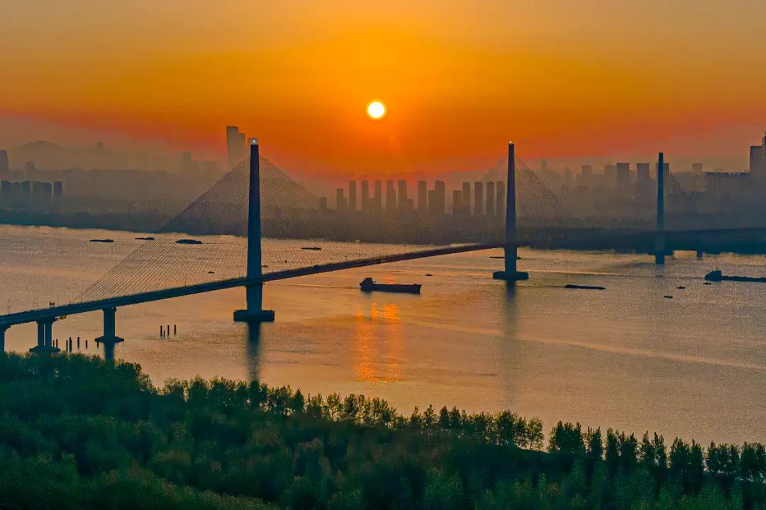 百图庆百年|“浦通”不普通！