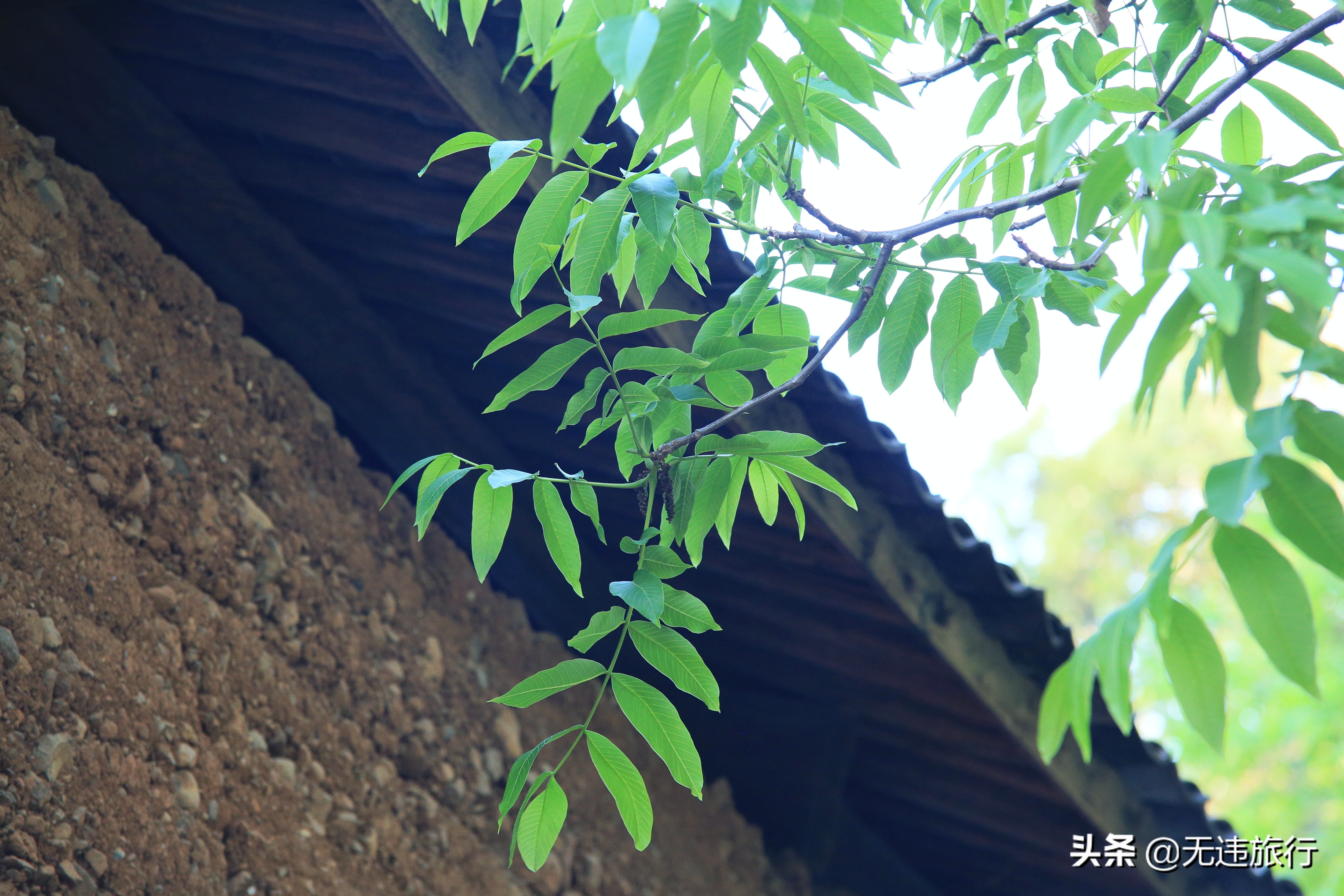 去大理鸡足山徒步旅行,大理鸡足山徒步登顶