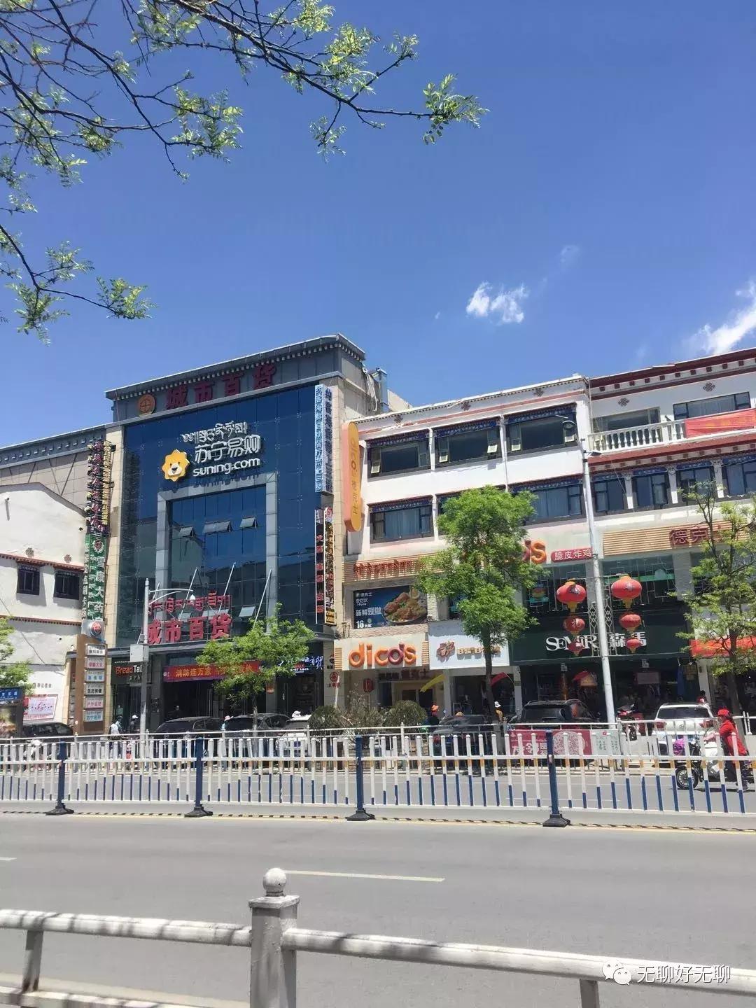 拉萨高原反应红景天,天上拉萨