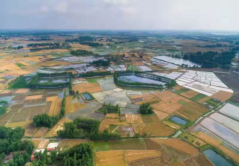 低风险低投资养殖,养殖什么投资小风险低回报快