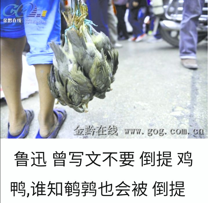 萧瑟秋风今又是,萧瑟秋风今又是上一句