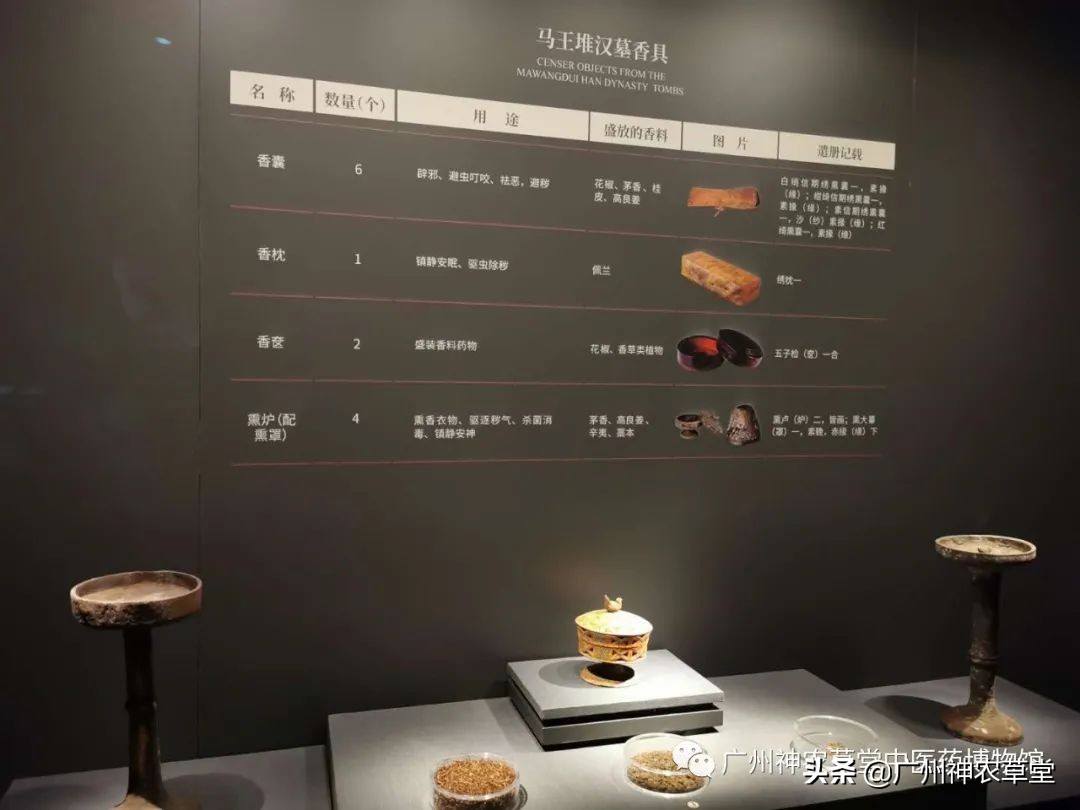 艸堂｜传说中可以挂太阳的树，草堂有