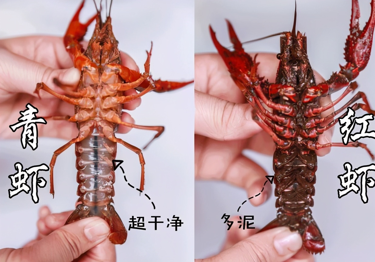 小龙虾怎样煮肉质入味不散,小龙虾怎么煮肉质q弹入味