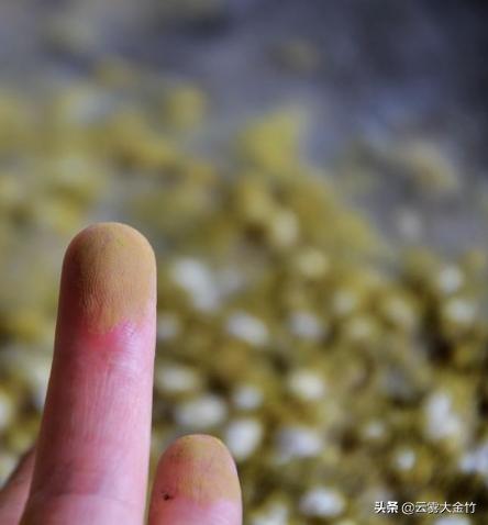 家庭自酿黄豆酱(酱油)-感受食品发酵的神奇